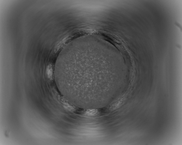 X0000099940720200806061518