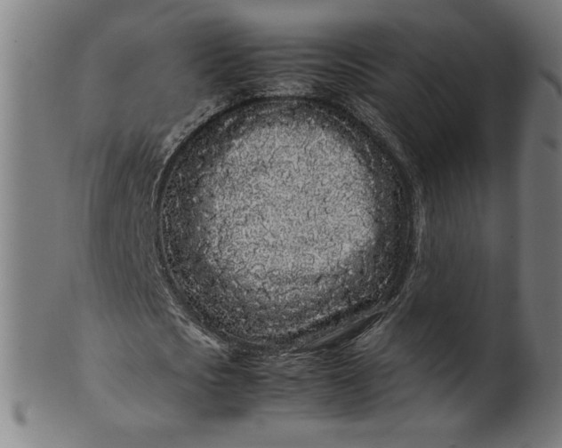 X0000099940721200806061517