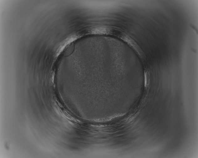 X0000099940723200806061517