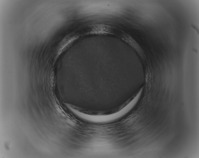 X0000099940724200806061517