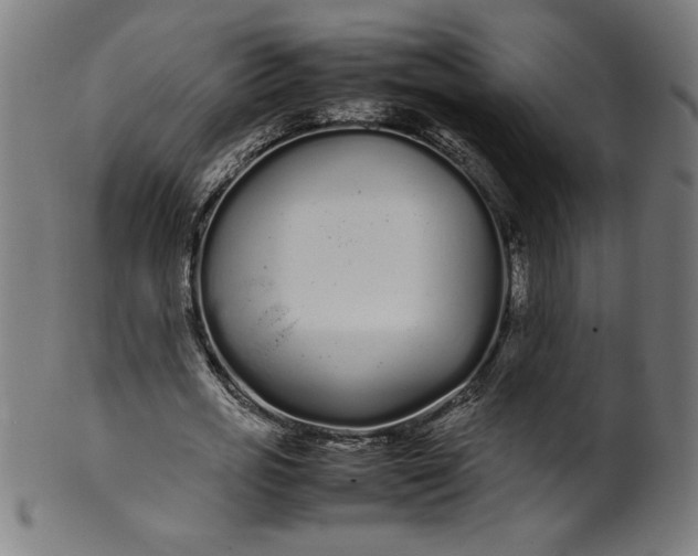 X0000099940725200806061517