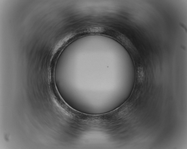 X0000099940726200806061517