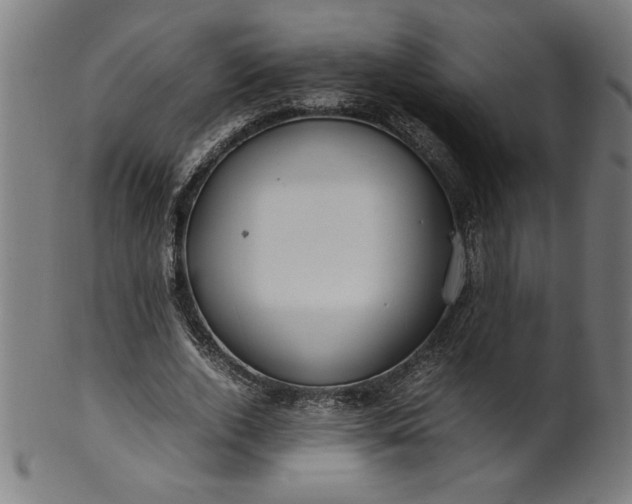 X0000099940728200806061517