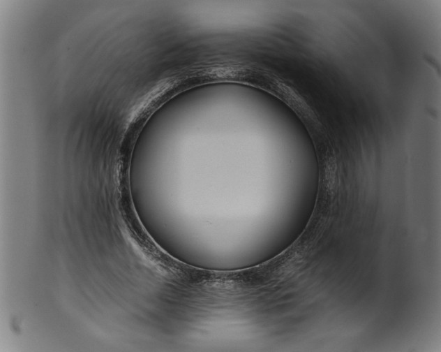 X0000099940730200806061517