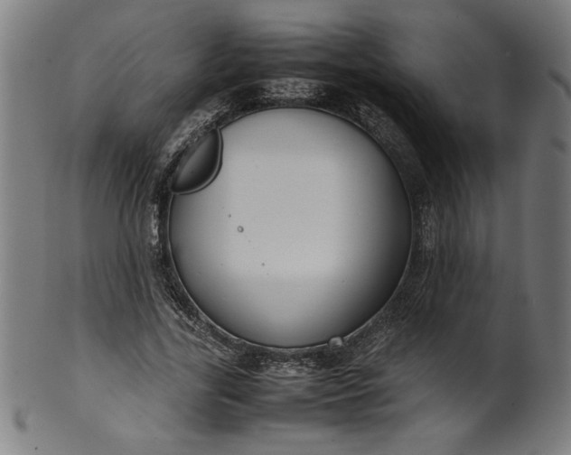 X0000099940731200806061517