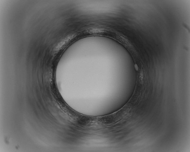X0000099940732200806061517