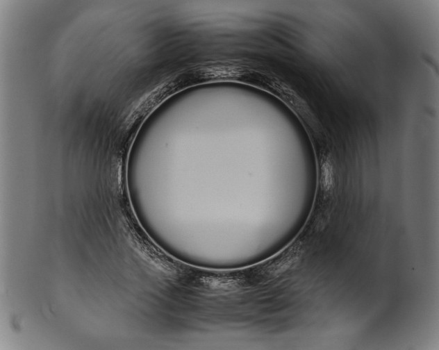 X0000099940733200806061517