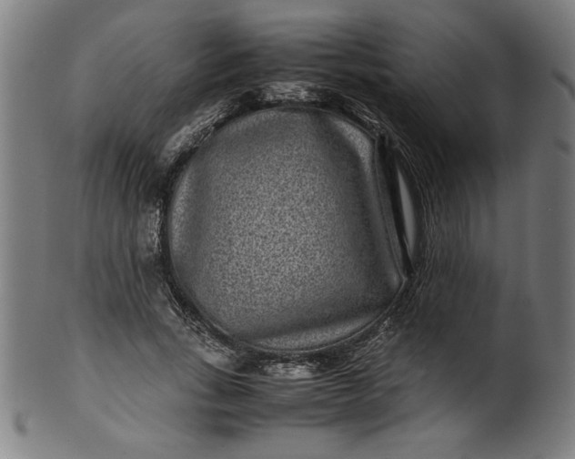X0000099940735200806061517