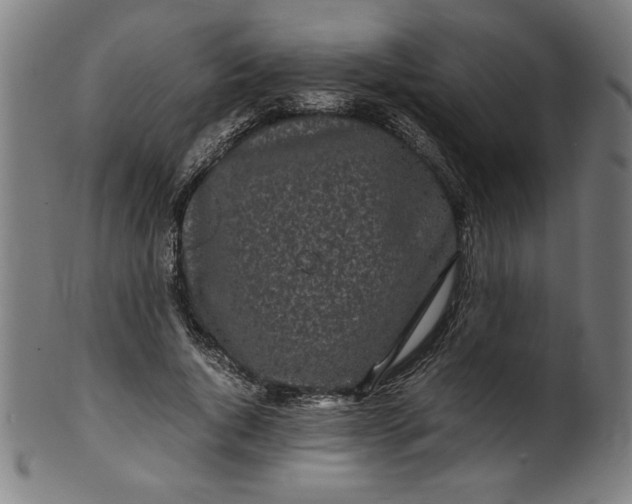 X0000099940736200806061517
