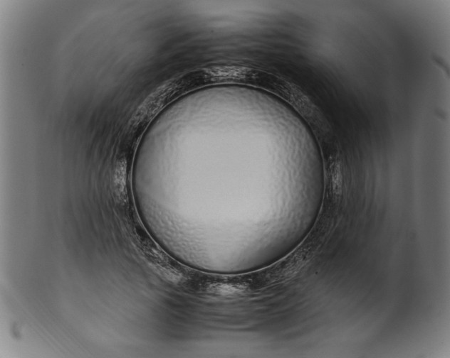 X0000099940737200806061517