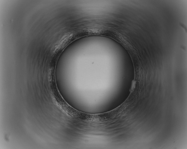 X0000099940738200806061517