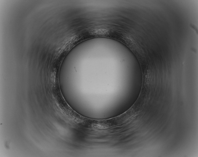 X0000099940739200806061517