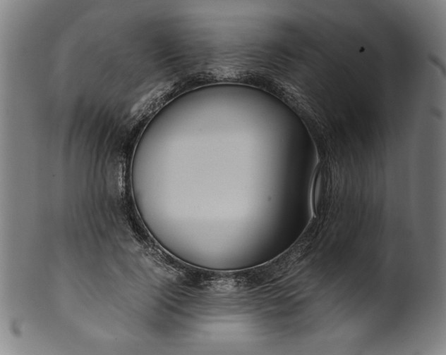 X0000099940740200806061517
