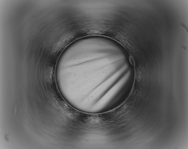 X0000099940742200806061517
