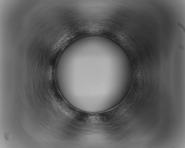 X0000099940744200806061517