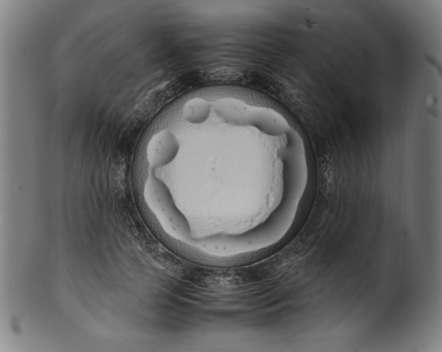 X0000099940745200806061518