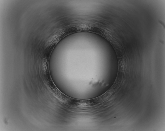 X0000099940746200806061518