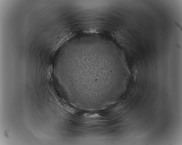 X0000099940747200806061518