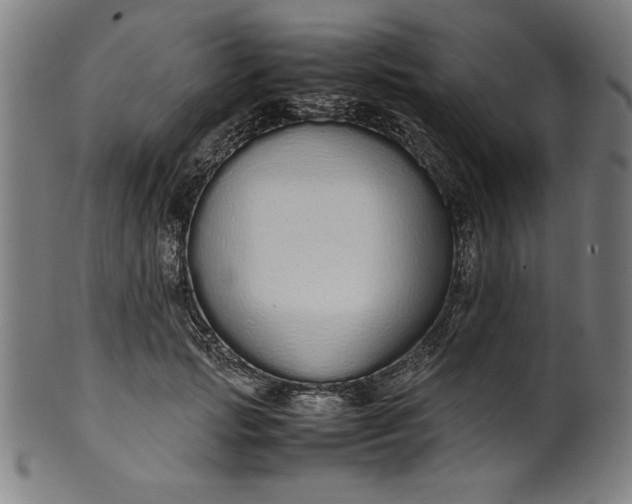 X0000099940749200806061518