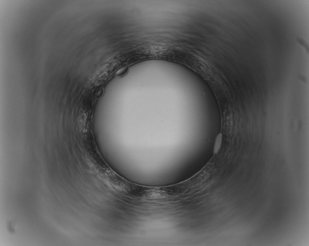 X0000099940750200806061518