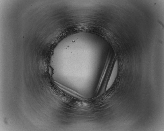 X0000099940751200806061518