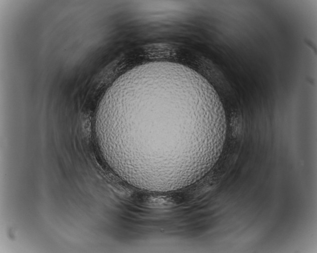 X0000099940753200806061518