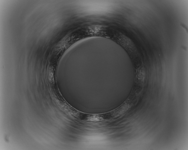 X0000099940754200806061518