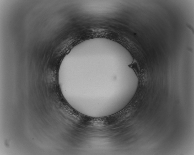 X0000099940756200806061518