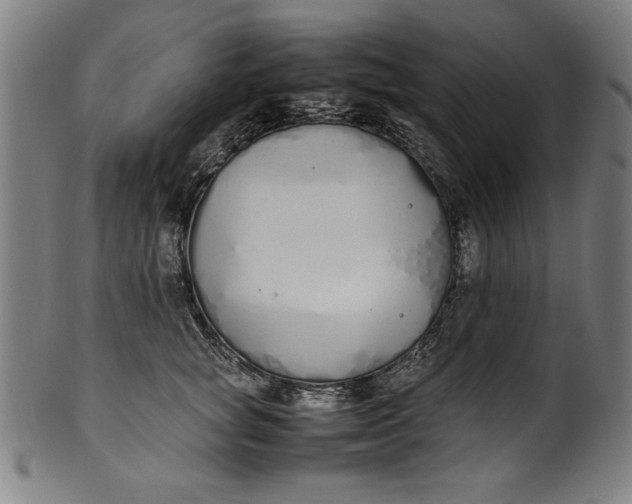 X0000099940757200806061518