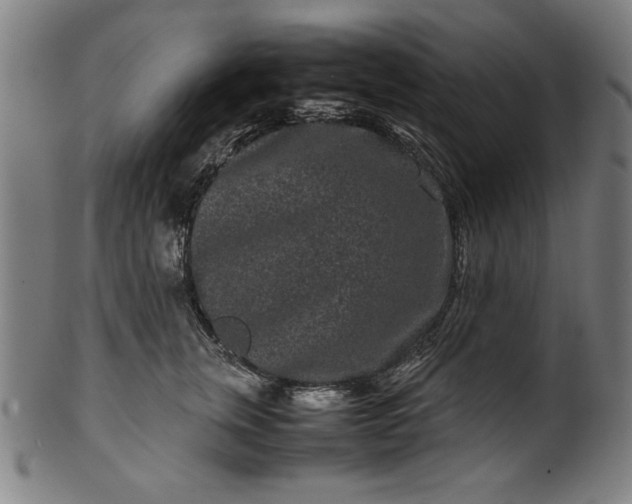 X0000099940759200806061518