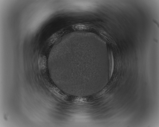 X0000099940760200806061518