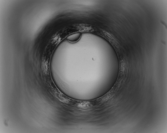 X0000099940761200806061518