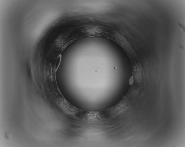 X0000099940762200806061518