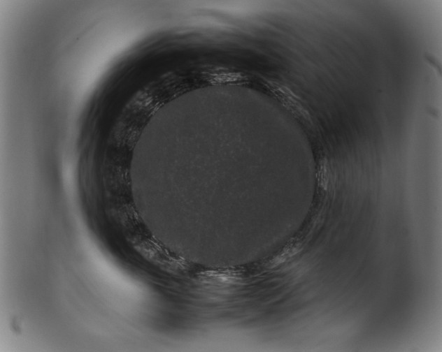 X0000099940763200806061518