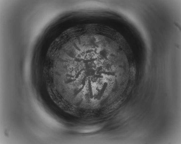 X0000099940765200806061518