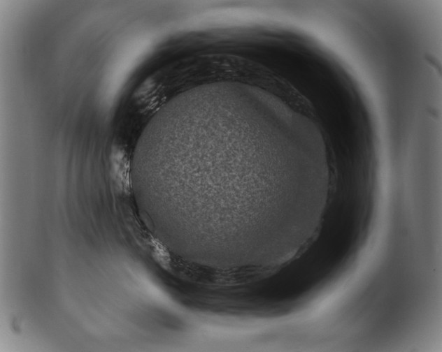 X0000099940766200806061518