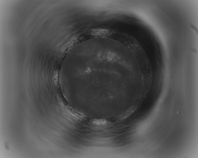 X0000099940767200806061518