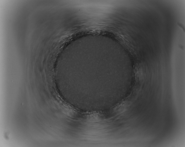 X0000099940769200806061517