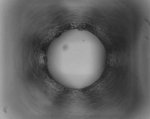 X0000099940770200806061517