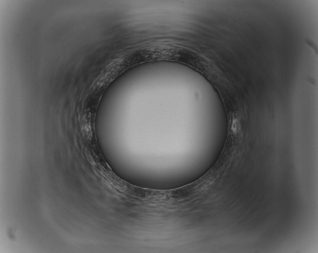 X0000099940771200806061517