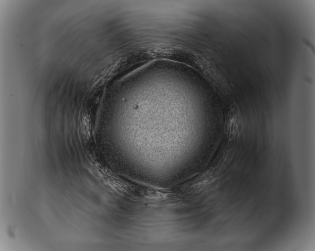 X0000099940772200806061517