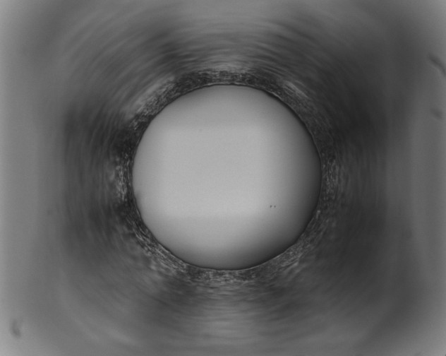 X0000099940774200806061517