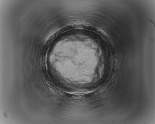 X0000099940775200806061517