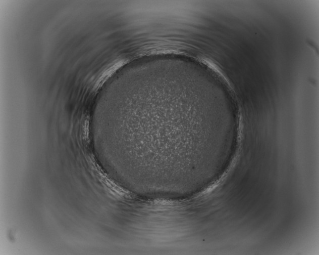 X0000099940777200806061517