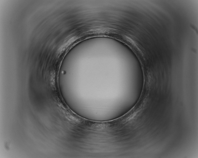 X0000099940778200806061517