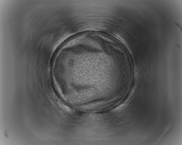 X0000099940779200806061517