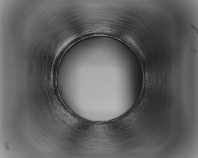 X0000099940780200806061517