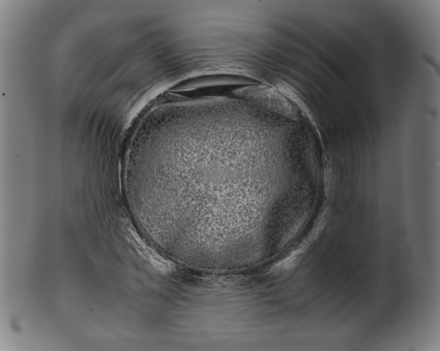 X0000099940781200806061517