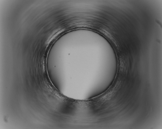X0000099940782200806061517