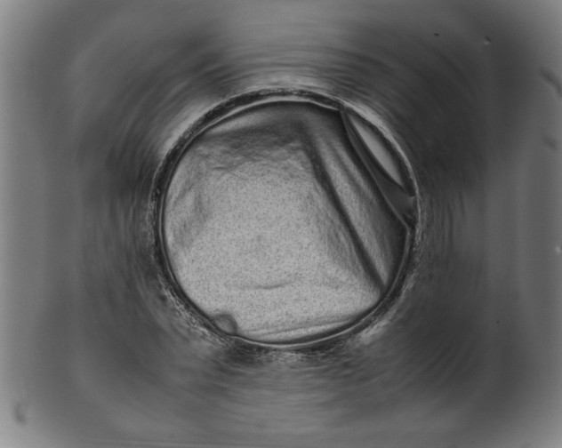 X0000099940783200806061517